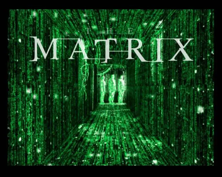 The Matrix 1 1024x819 1 768x614, West Coast Martial Arts